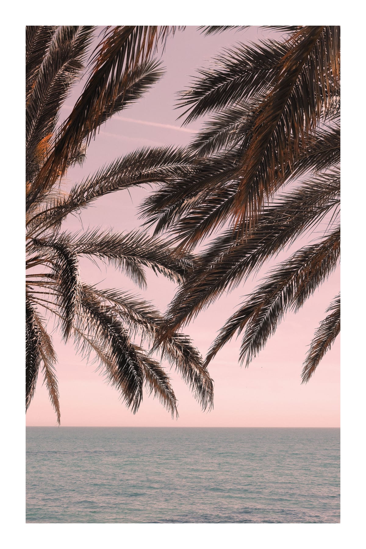 variant-60x90_with-margin
