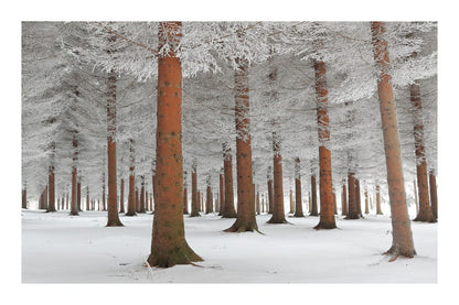 variant-60x90_with-margin