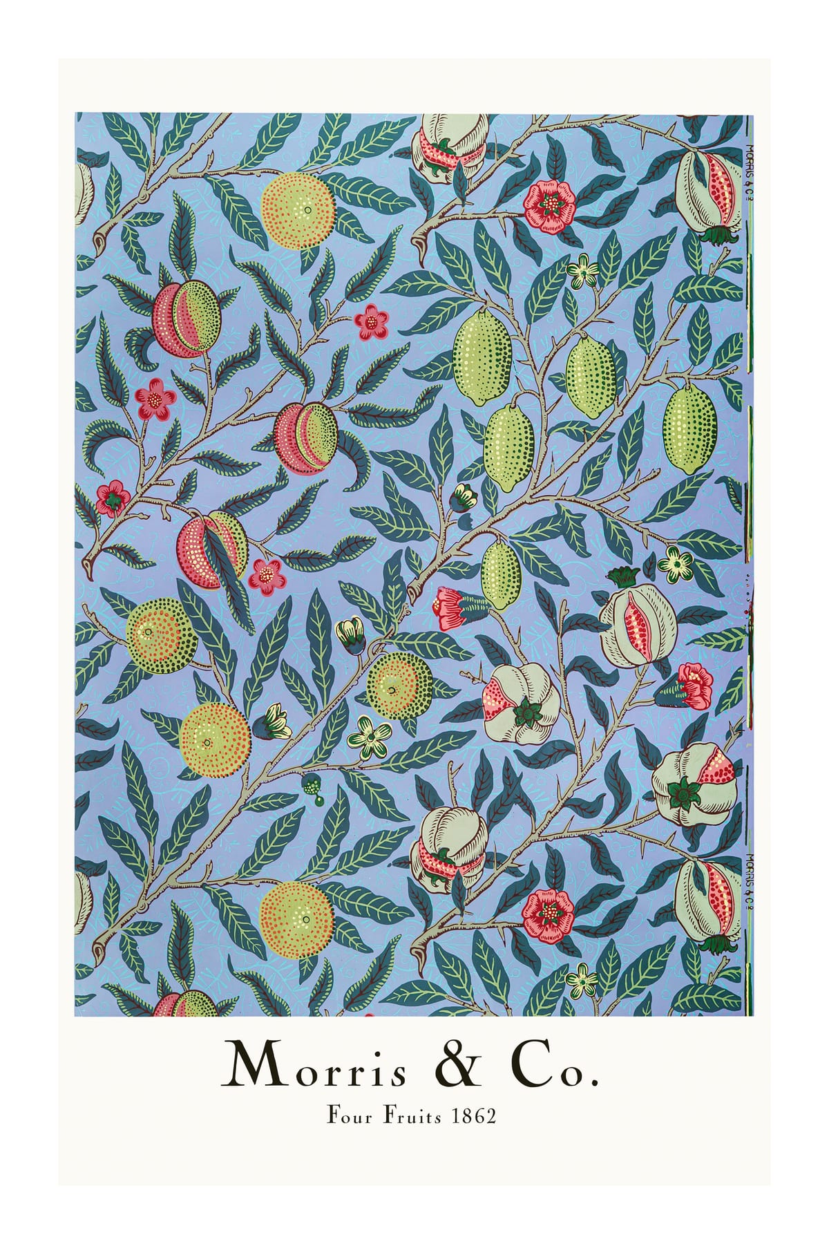 variant-60x90_with-margin