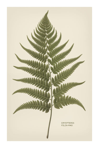 variant-60x90_with-margin