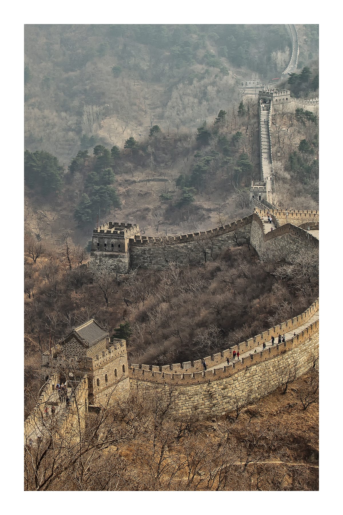 variant-60x90_with-margin