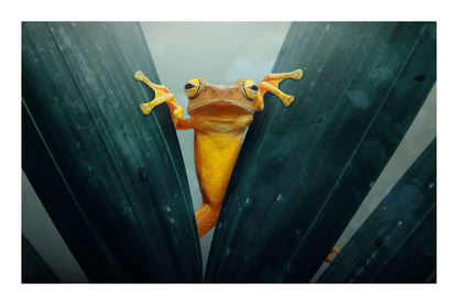 variant-60x90_with-margin