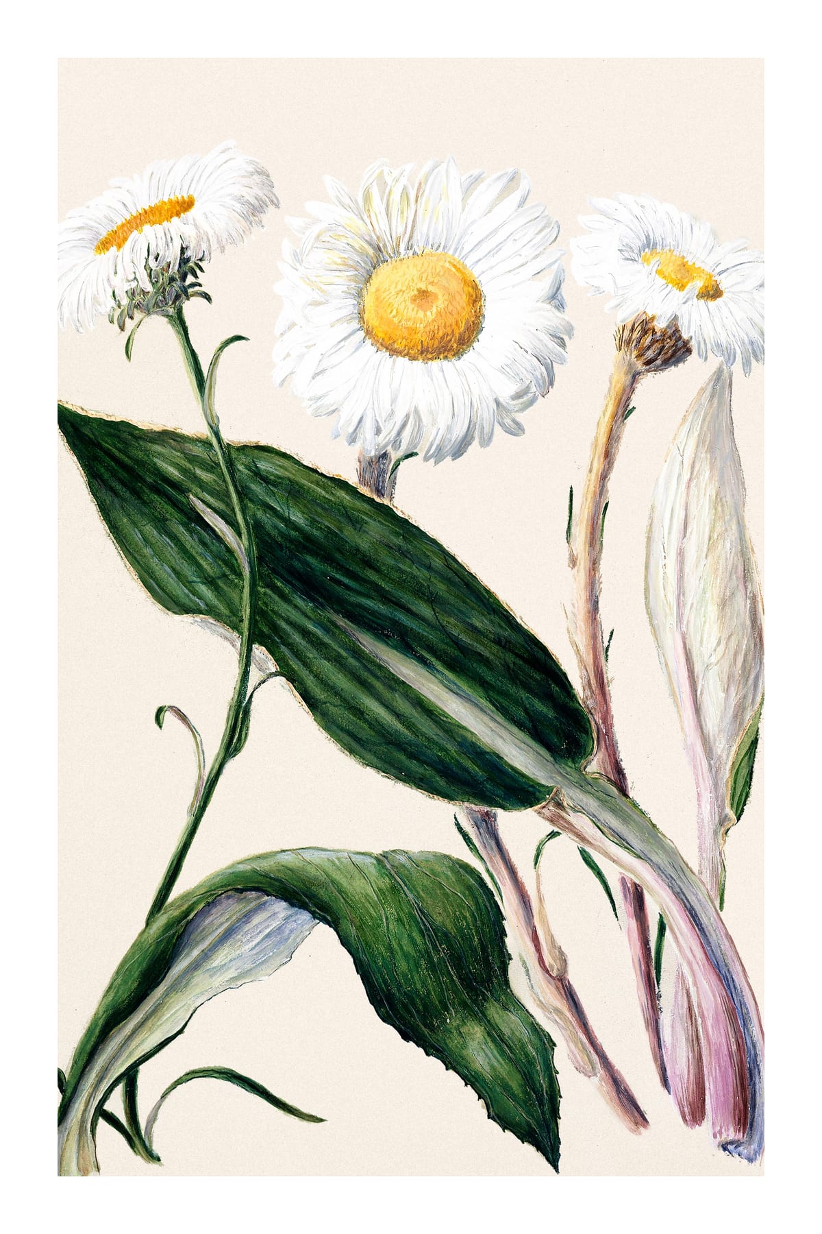 variant-60x90_with-margin
