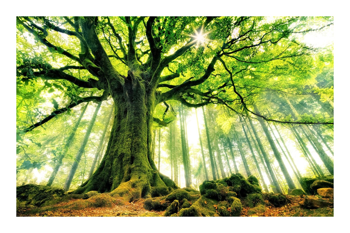 variant-60x90_with-margin