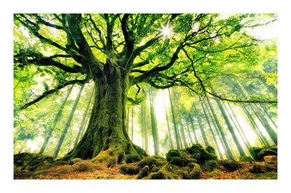 variant-60x90_with-margin