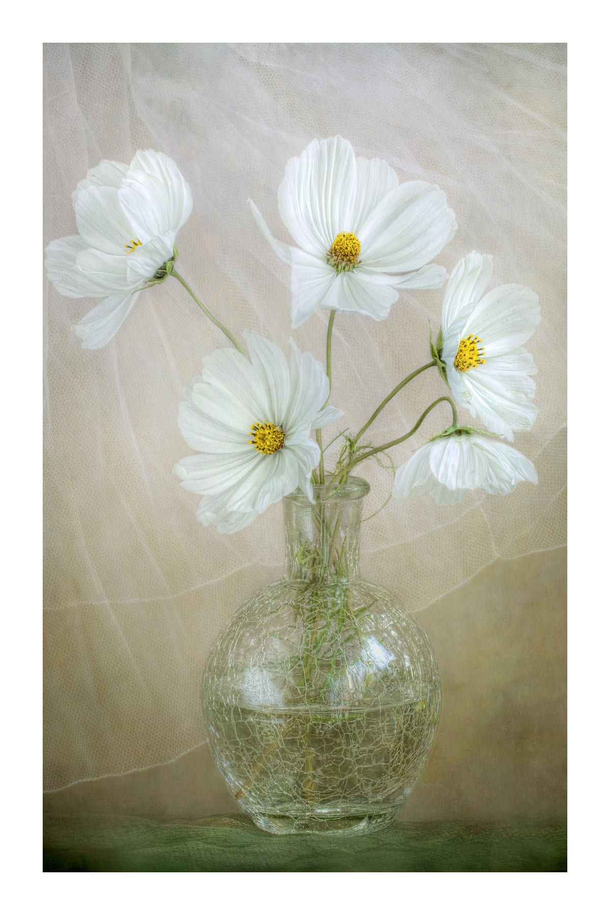 variant-60x90_with-margin