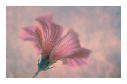 variant-60x90_with-margin