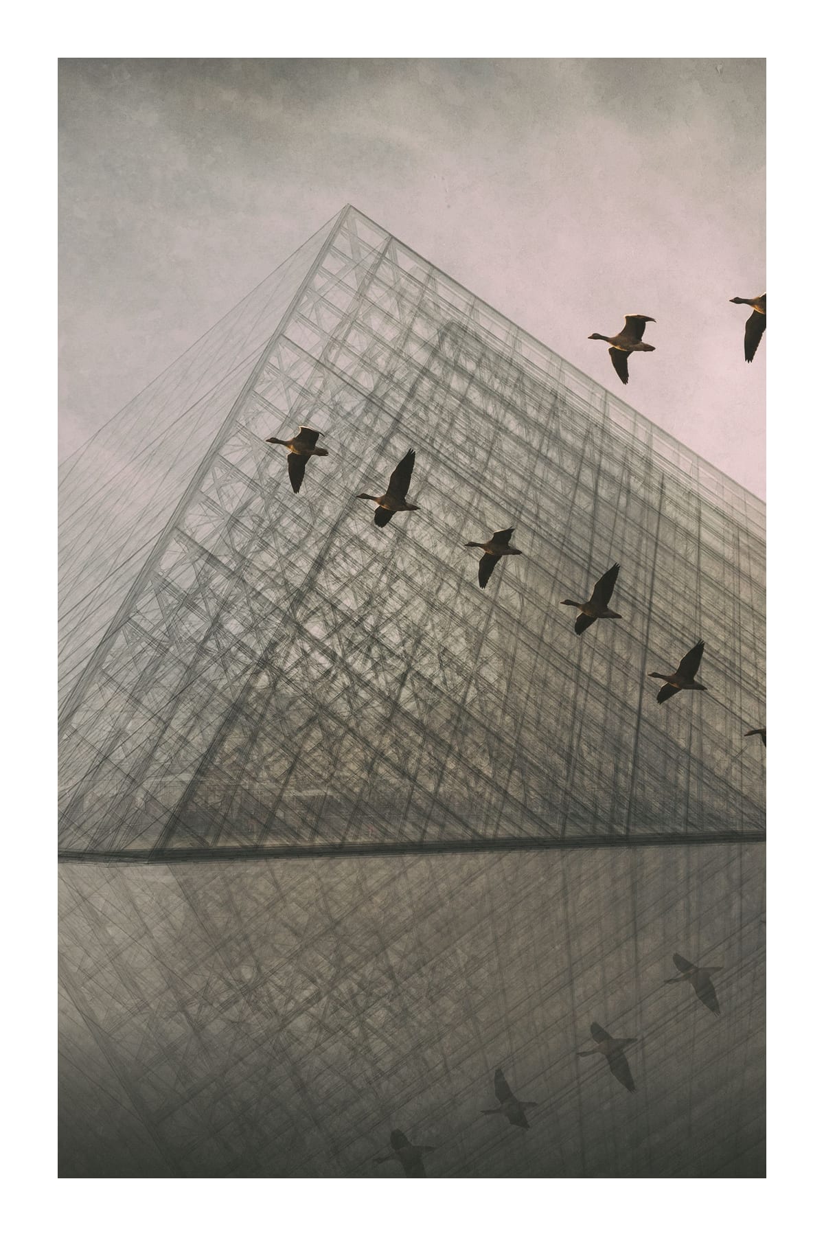 variant-60x90_with-margin