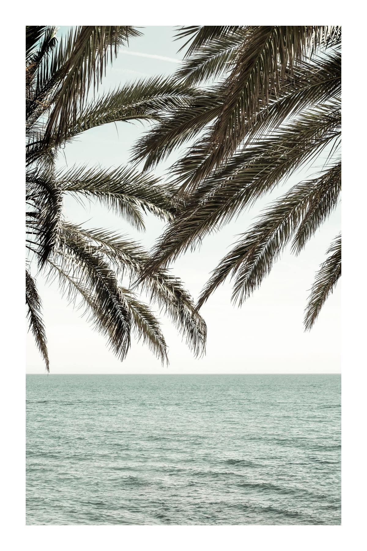 variant-60x90_with-margin