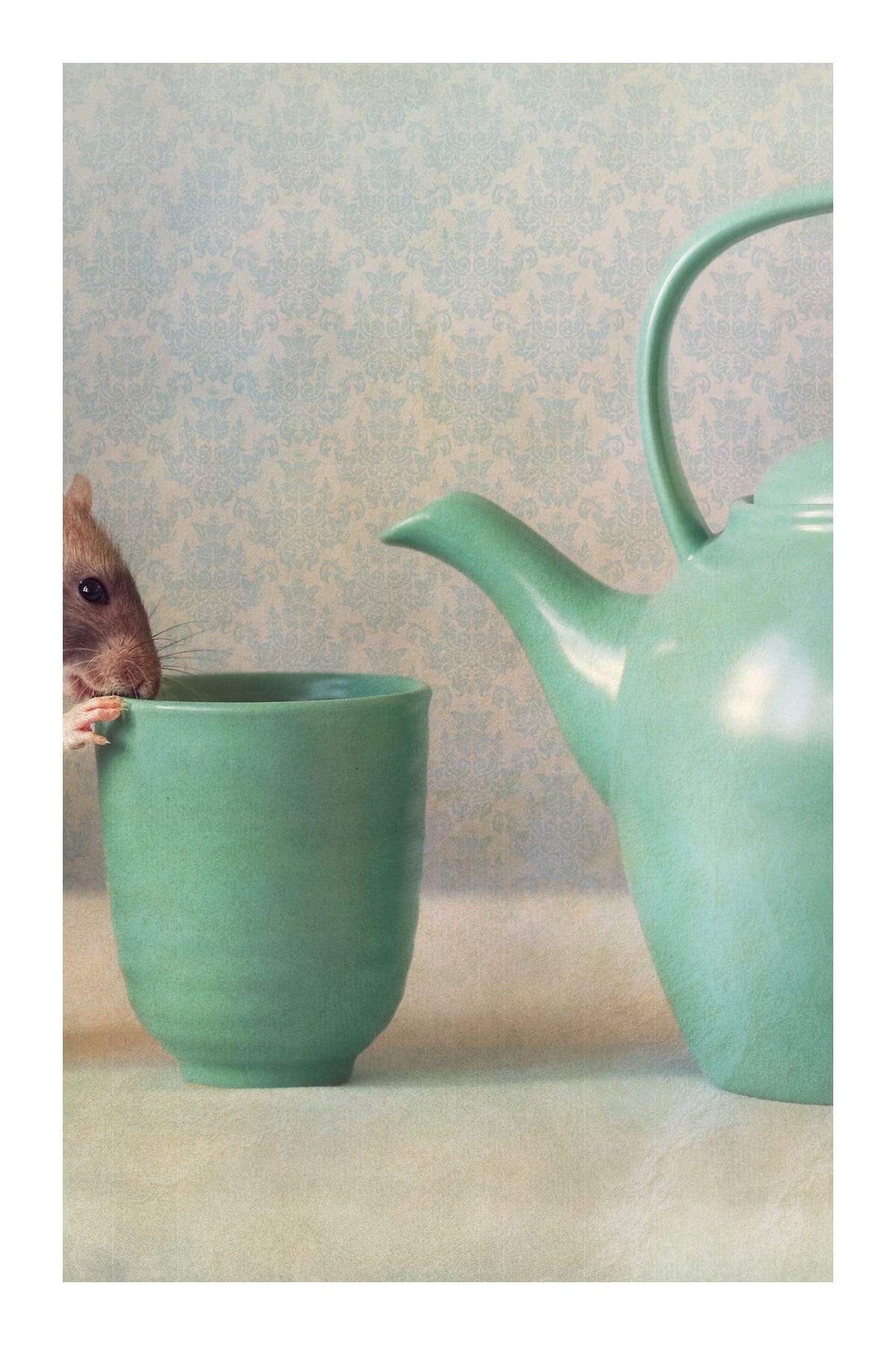 variant-60x90_with-margin
