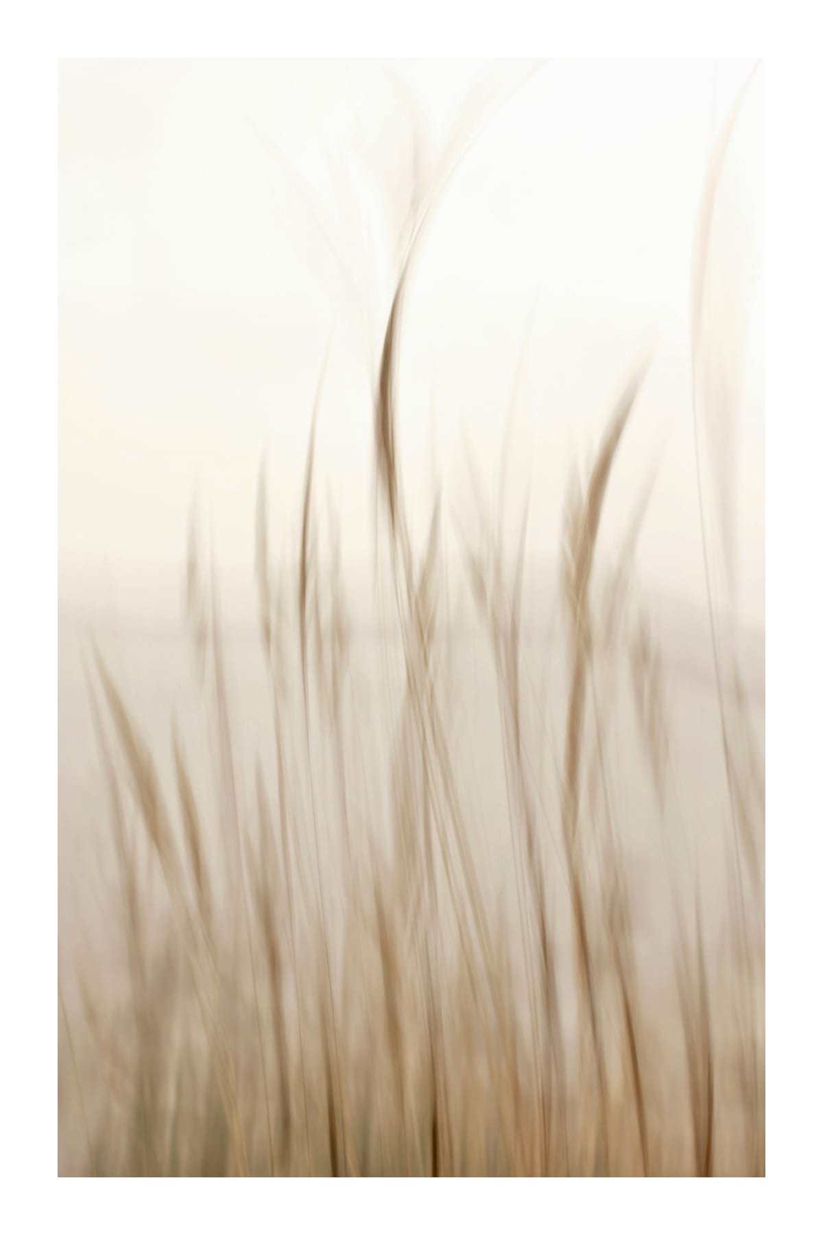 variant-60x90_with-margin