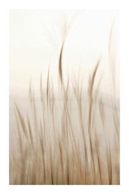 variant-60x90_with-margin