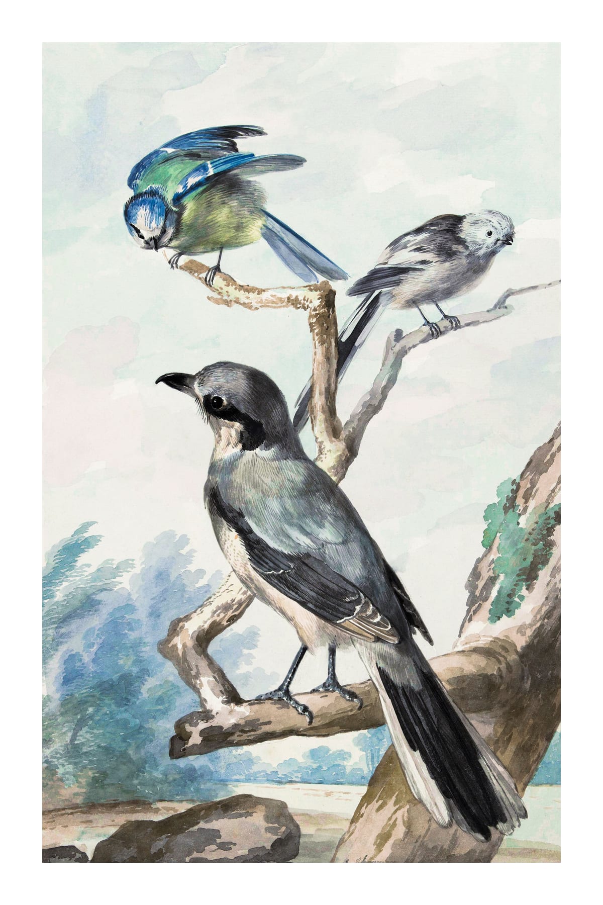 variant-60x90_with-margin