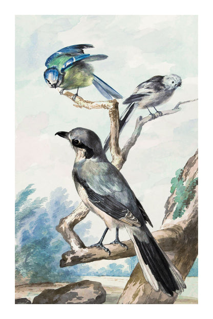 variant-60x90_with-margin