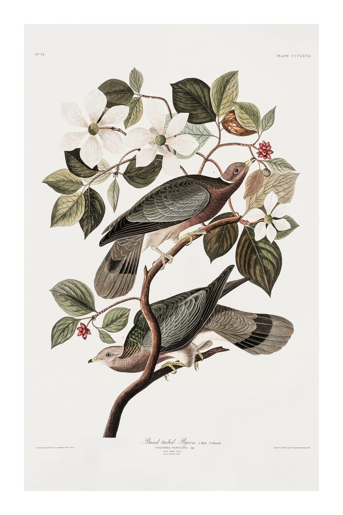 variant-60x90_with-margin