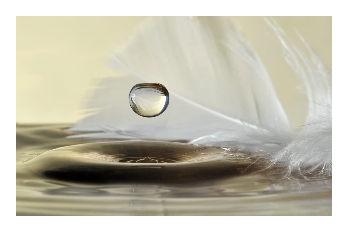 variant-60x90_with-margin