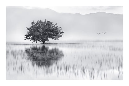 variant-60x90_with-margin