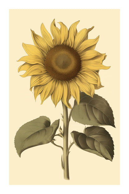 variant-60x90_with-margin