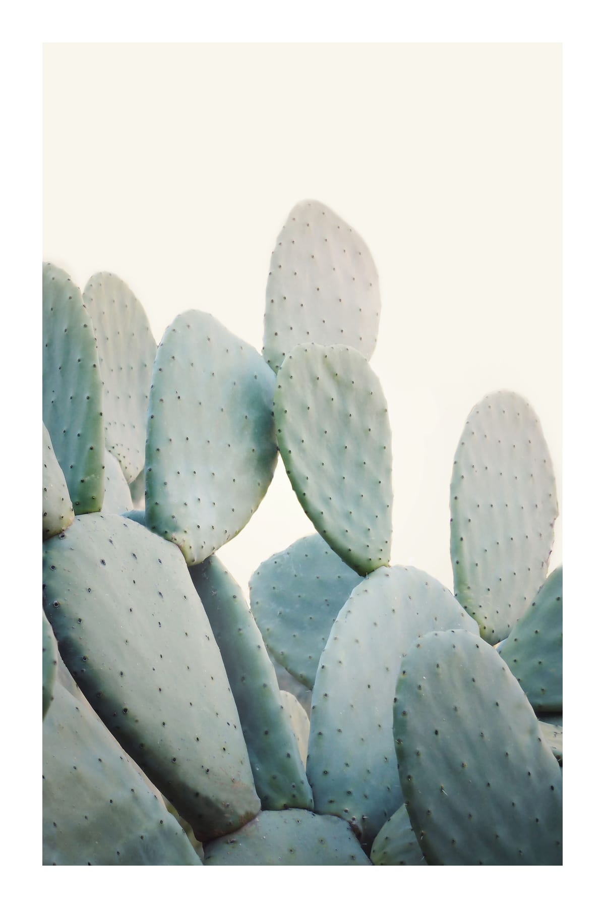 variant-60x90_with-margin