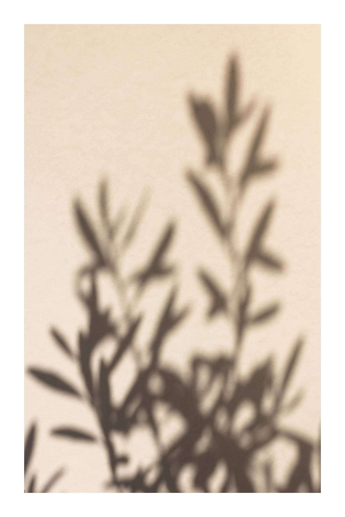 variant-60x90_with-margin