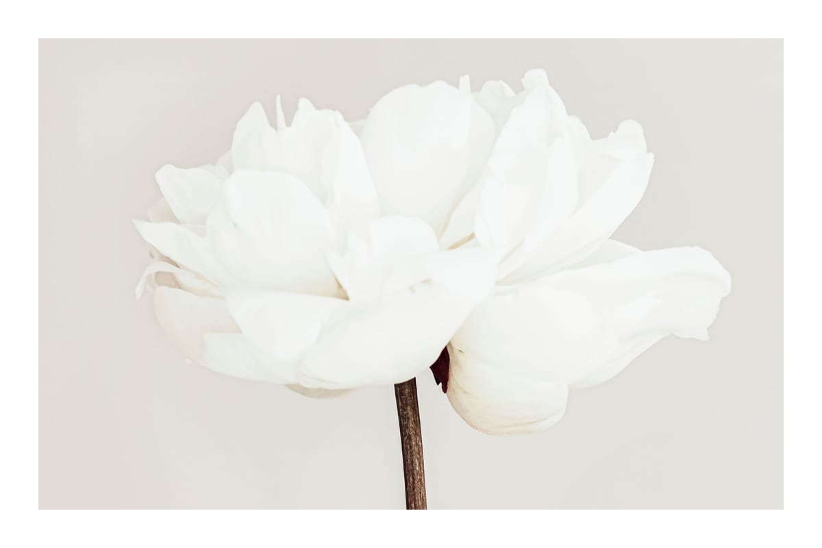 variant-60x90_with-margin