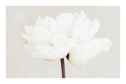 variant-60x90_with-margin