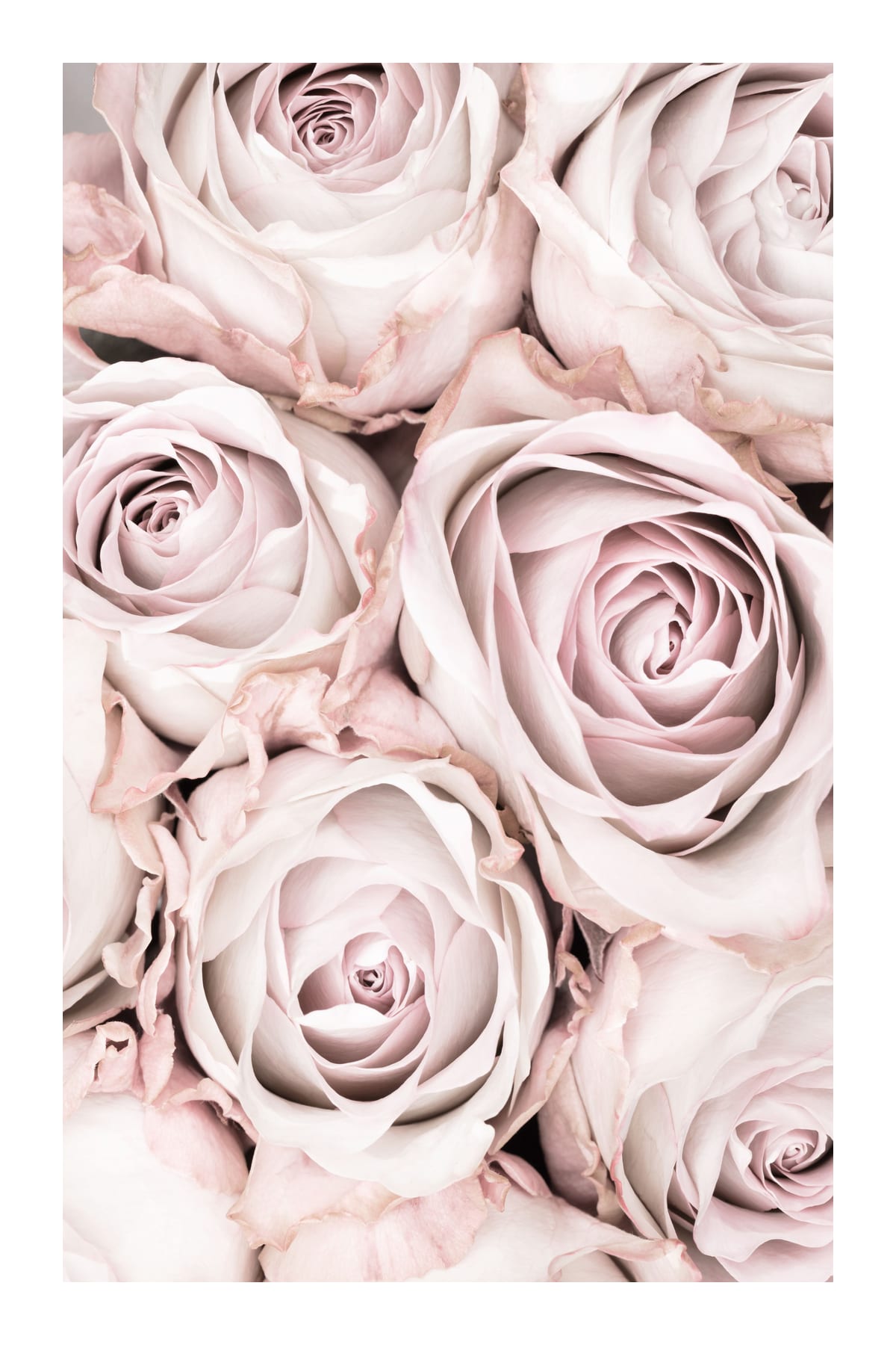 variant-60x90_with-margin