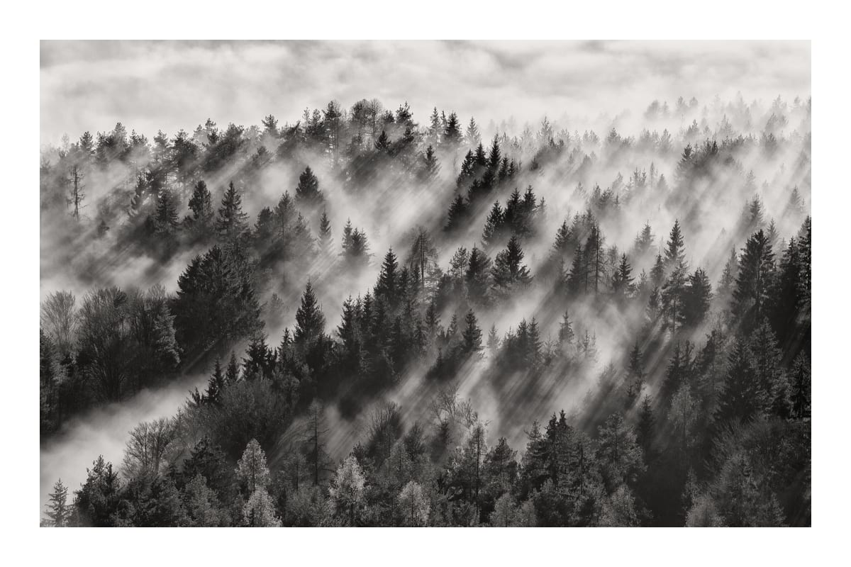 variant-60x90_with-margin