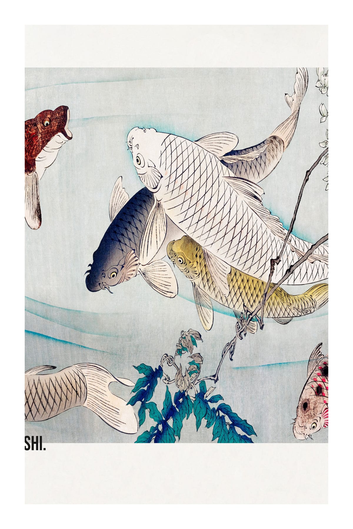 variant-60x90_with-margin