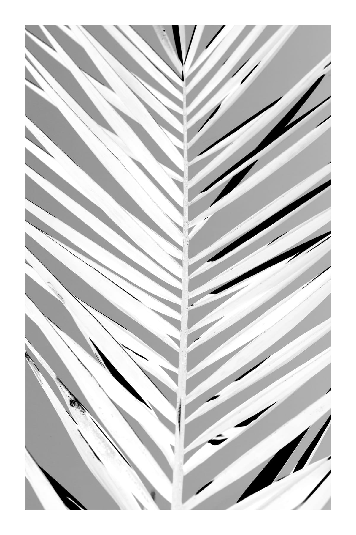 variant-60x90_with-margin