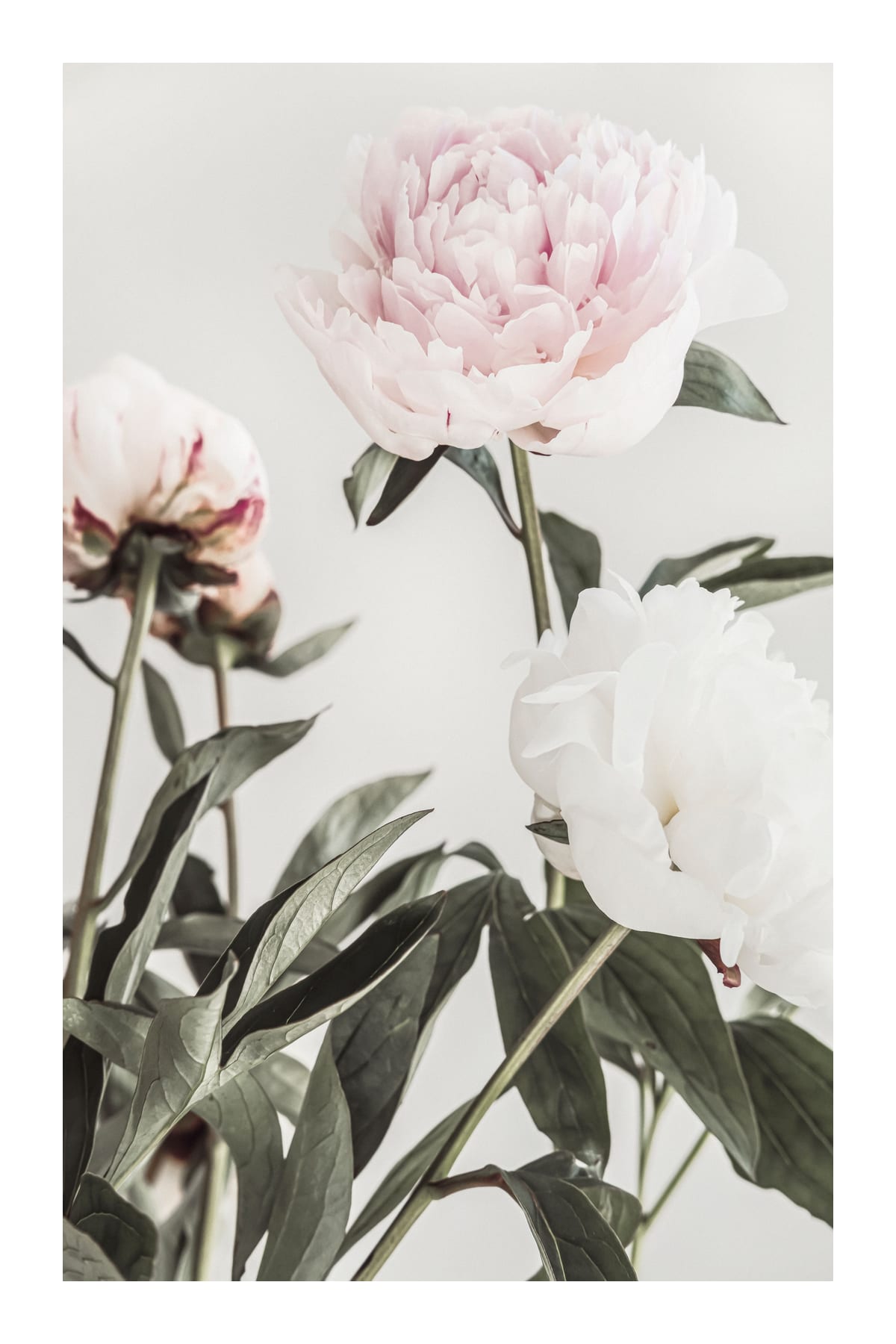 variant-60x90_with-margin
