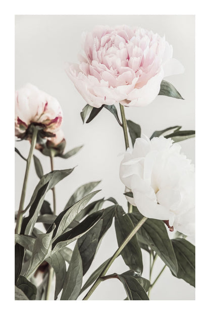 variant-60x90_with-margin
