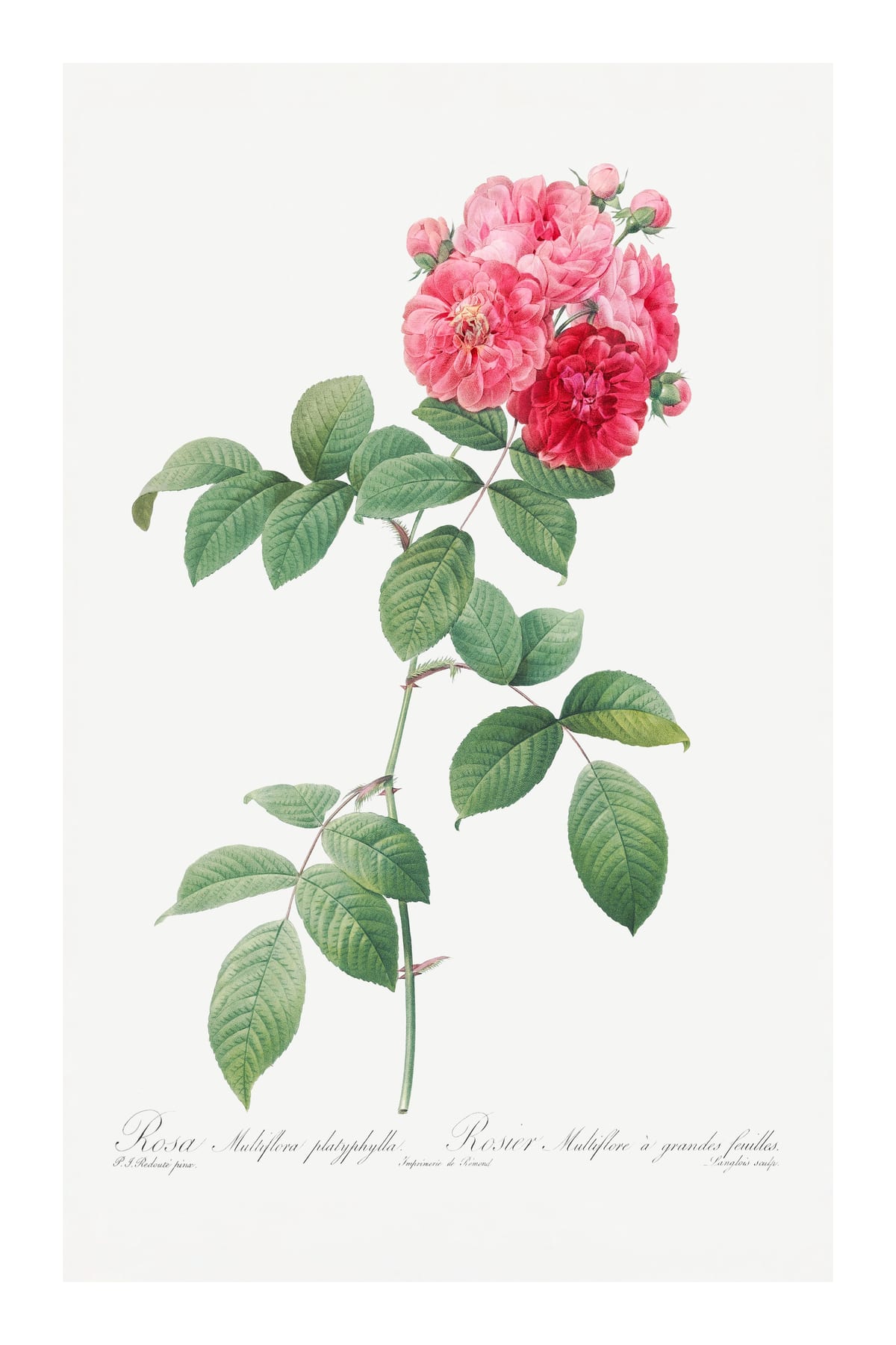 variant-60x90_with-margin
