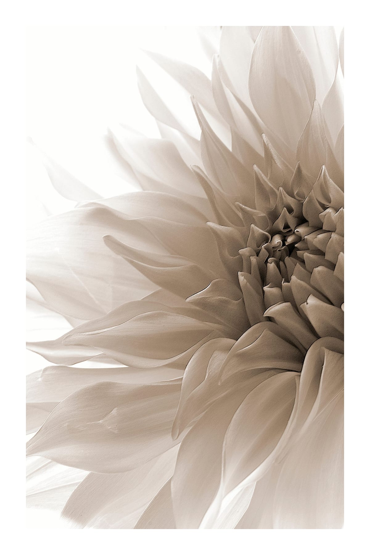 variant-60x90_with-margin