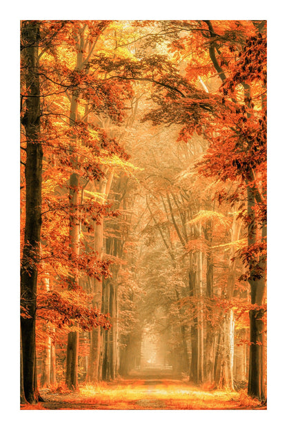 variant-60x90_with-margin