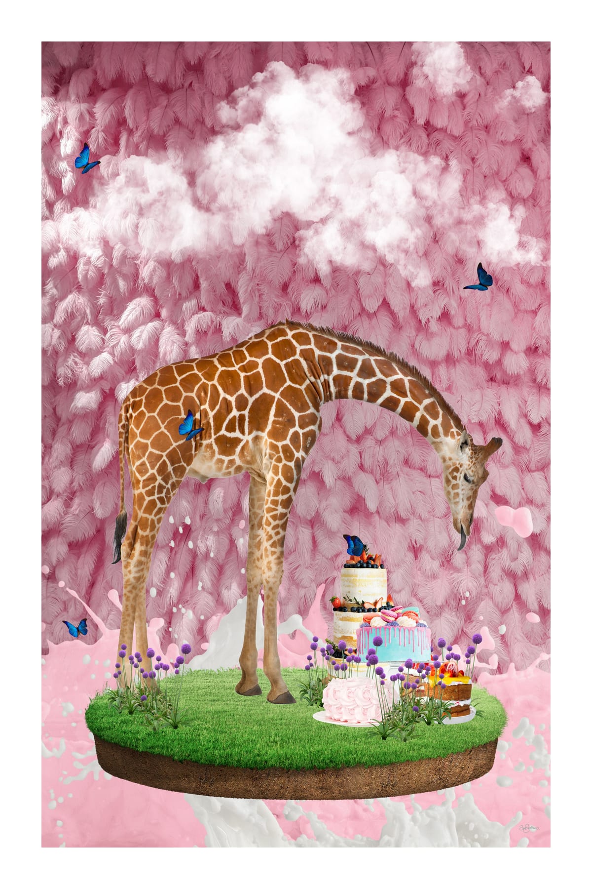 variant-60x90_with-margin