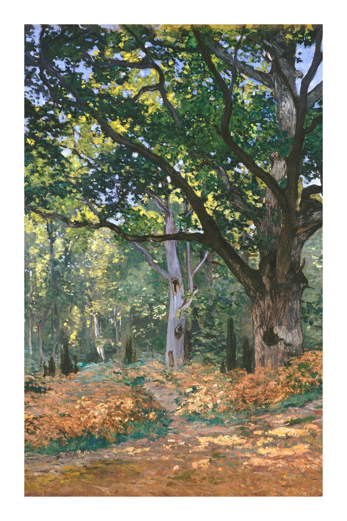 variant-60x90_with-margin