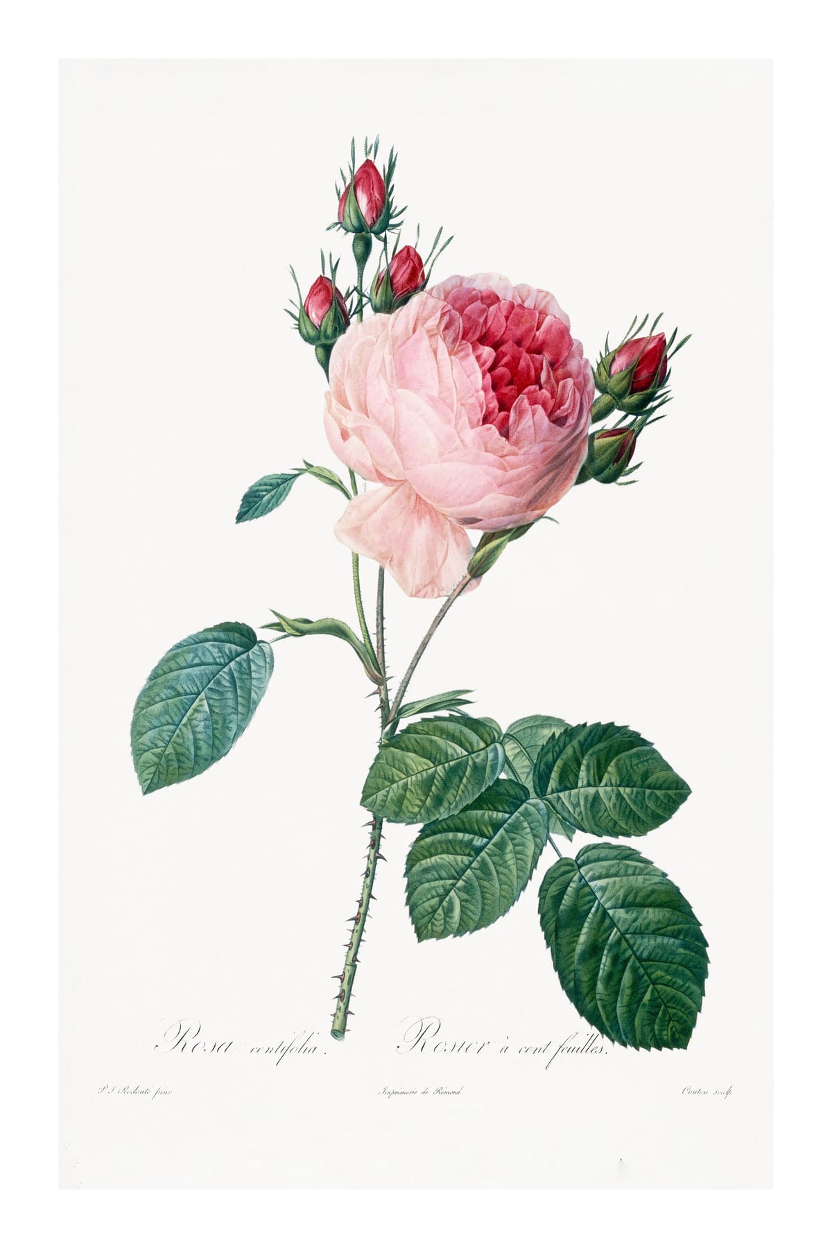 variant-60x90_with-margin