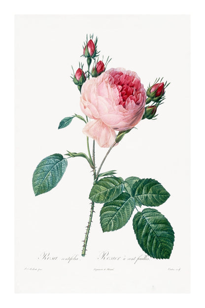 variant-60x90_with-margin