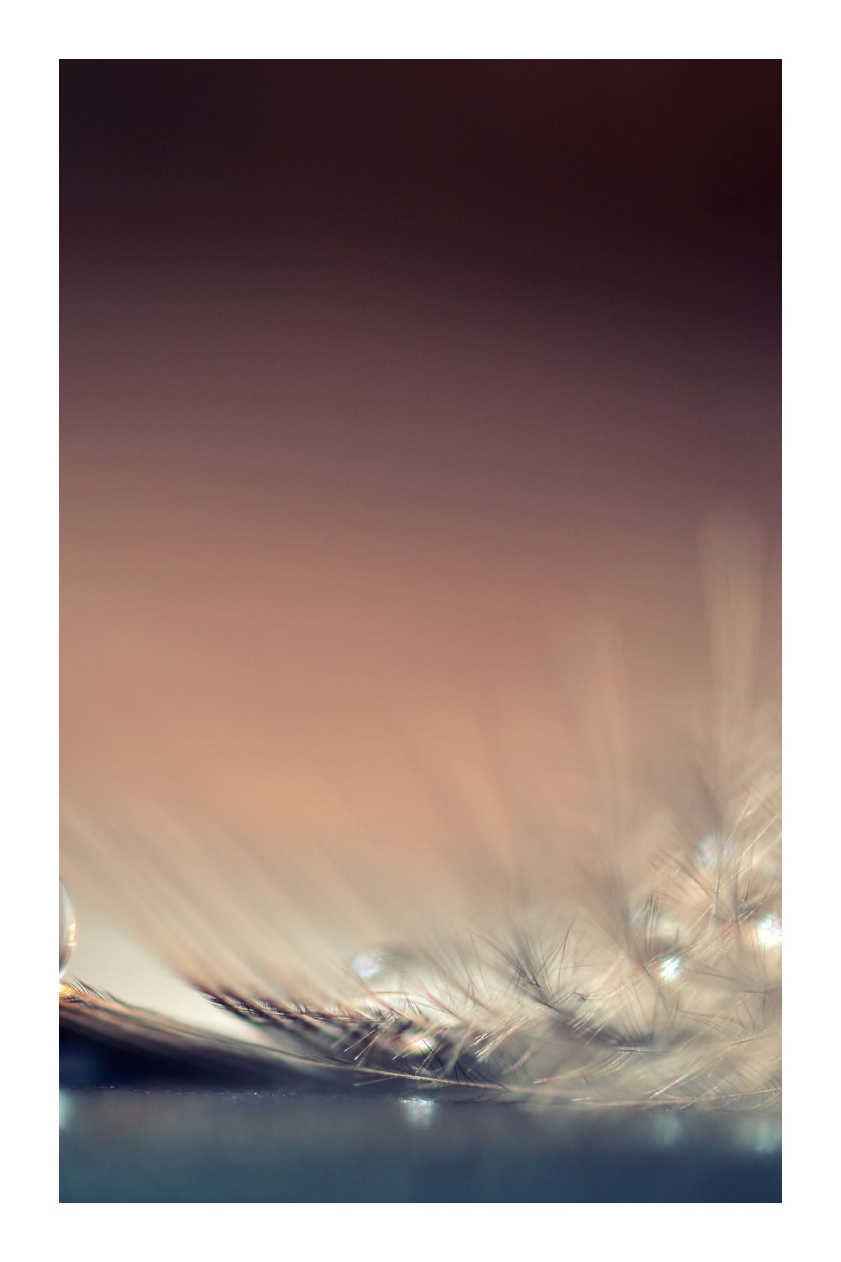 variant-60x90_with-margin