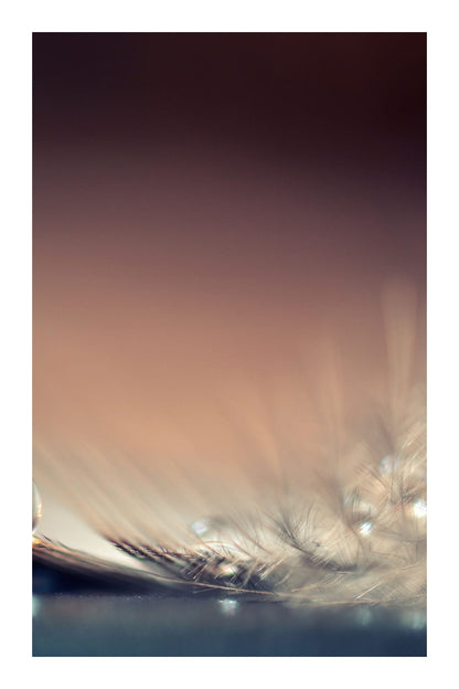 variant-60x90_with-margin