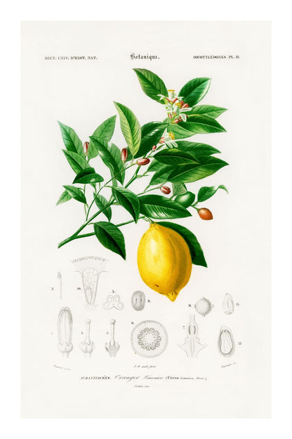 variant-60x90_with-margin