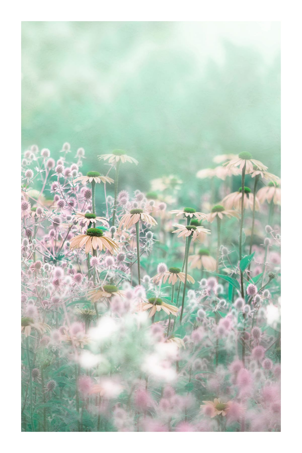 variant-60x90_with-margin