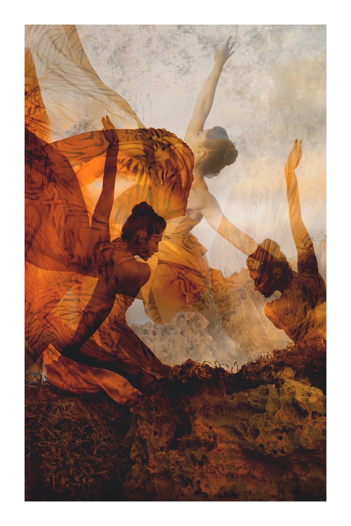 variant-60x90_with-margin