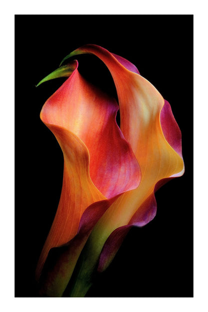 variant-60x90_with-margin