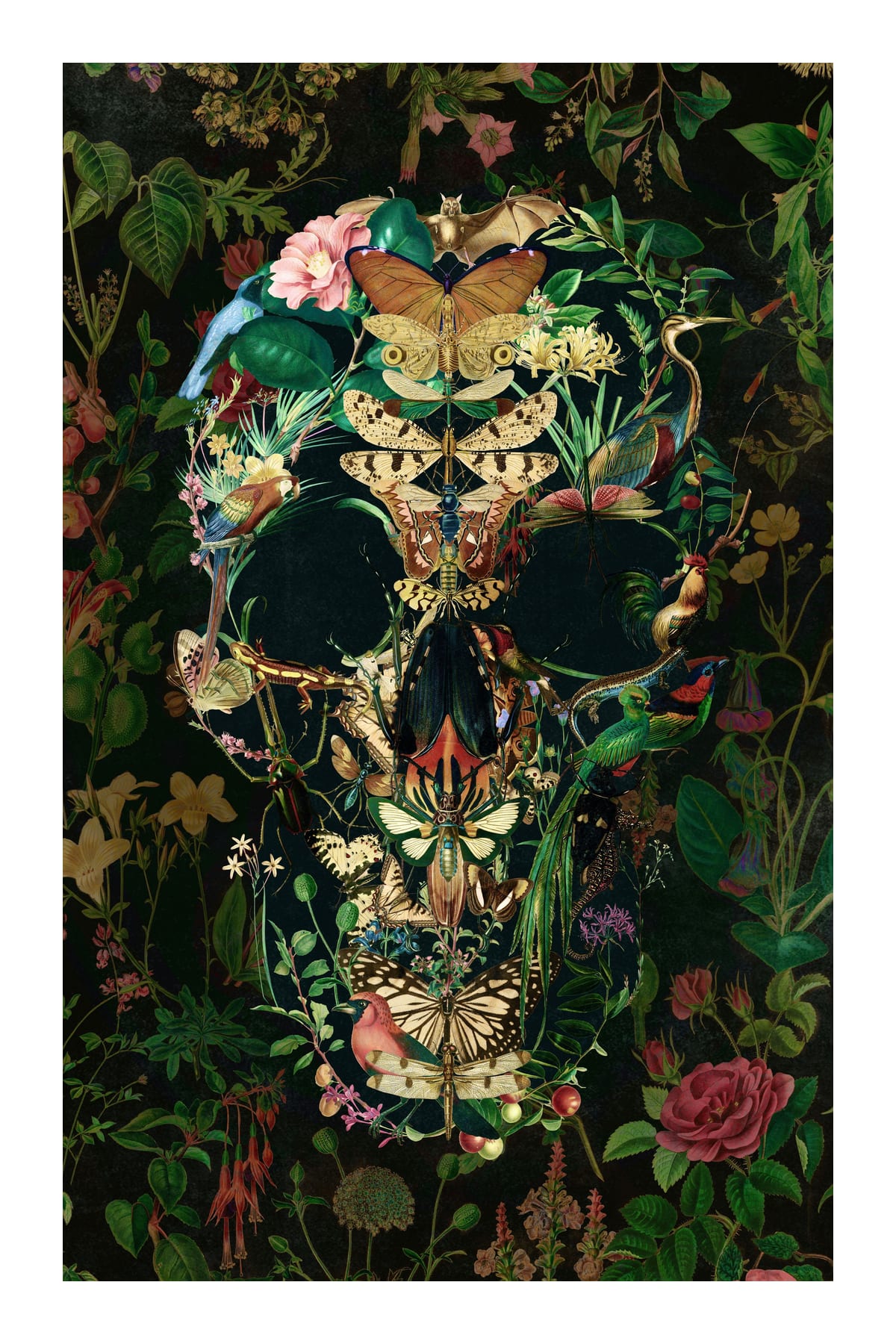 variant-60x90_with-margin