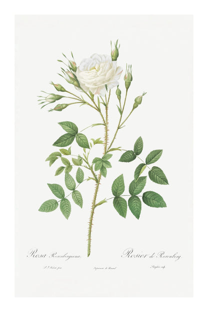 variant-60x90_with-margin