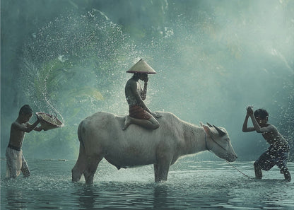 A serene photograph of three young boys playing in a river with a large water buffalo, one boy sits atop the animal while the others splash water, all set against a misty green backdrop and framed in silver. Print
