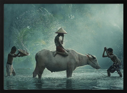 A serene photograph of three young boys playing in a river with a large water buffalo, one boy sits atop the animal while the others splash water, all set against a misty green backdrop and framed in silver. Print