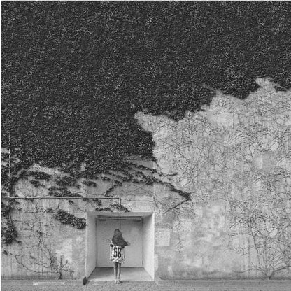 A framed, square black and white photograph showing a stark contrast on an ivy-covered wall. The top half is dense with dark leaves, while the bottom half is a lighter, textured wall. A young girl with long hair, seen from behind, stands in a recessed white doorway in the center. Wall Art